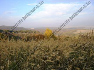 Photo Texture of Background Autumn Nature  0008